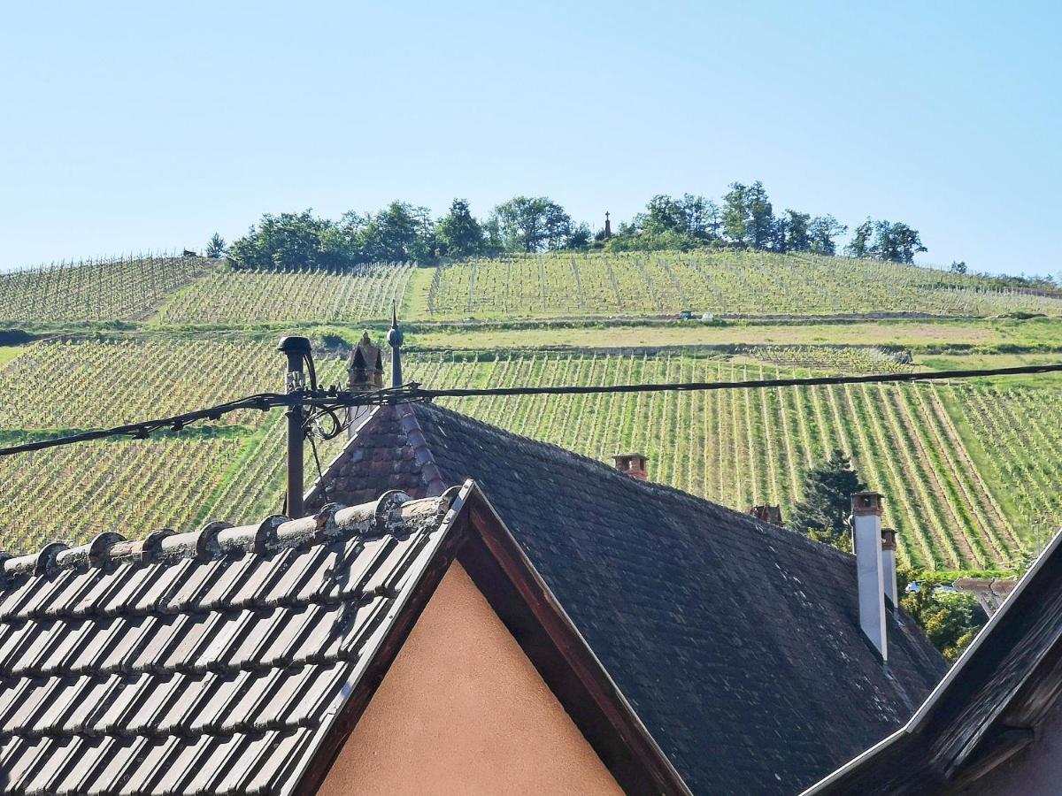 ✪ Le Convivial ✪ Duplex Alsacien ✪ Parking ✪ Rbnb✪ Turckheim Luaran gambar